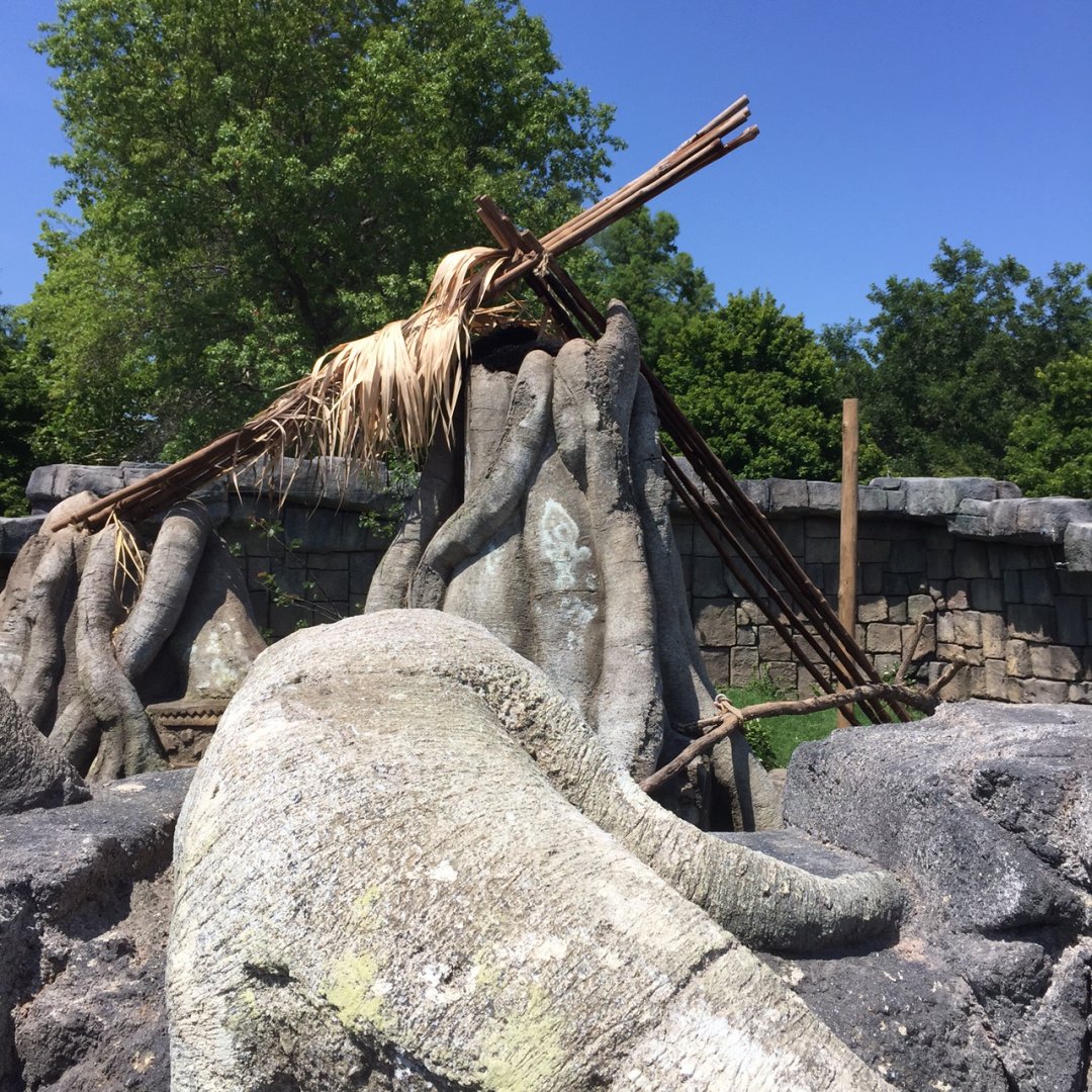 Lost Kingdom - Binturong (summer) and Red Panda (winter) exhibit