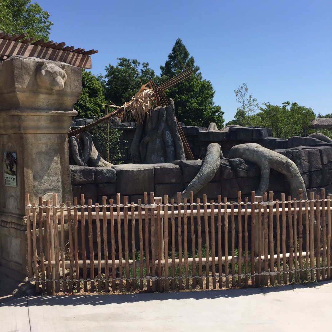 Lost Kingdom - Binturong (summer) and Red Panda (winter) exhibit