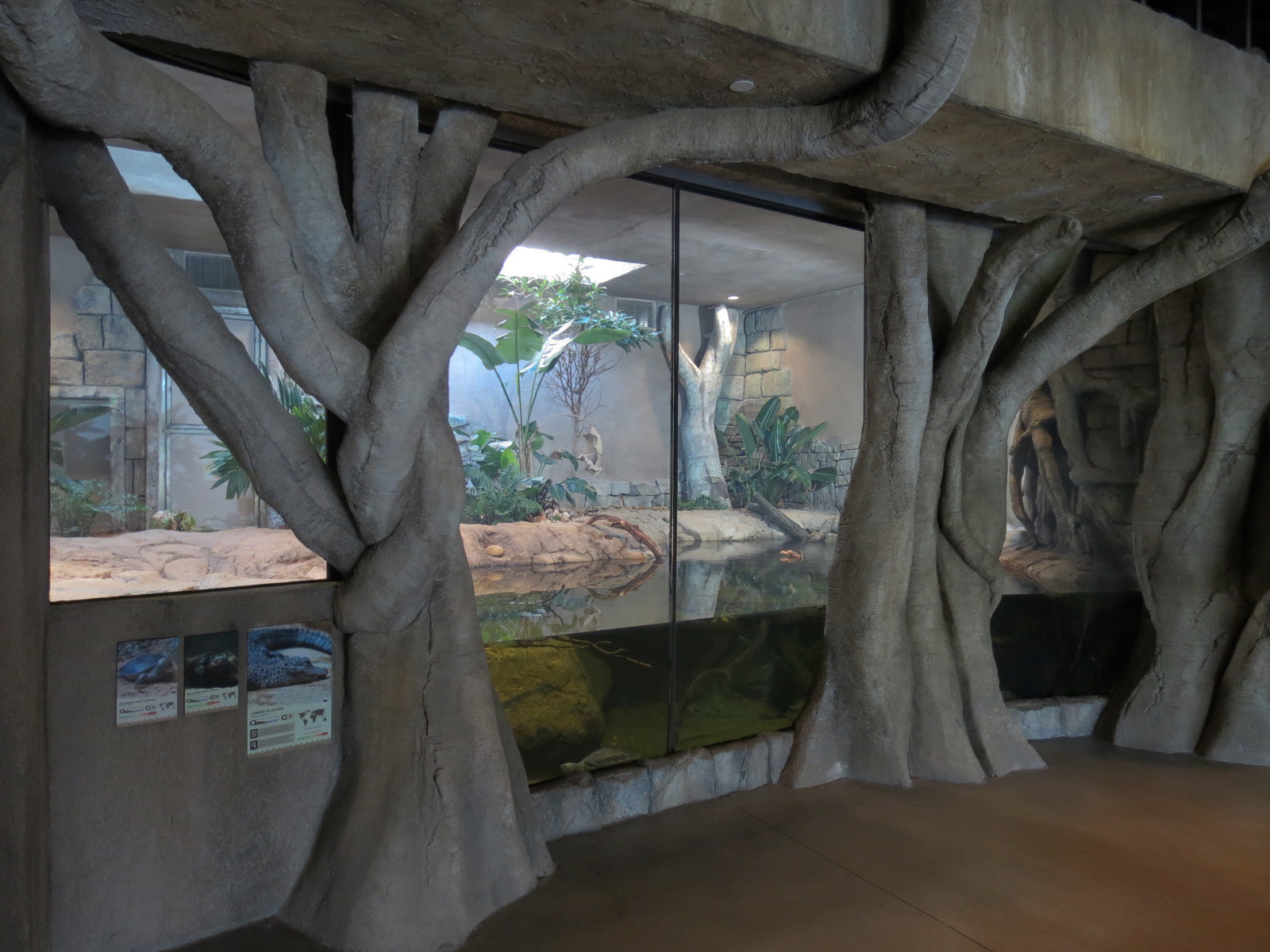 Lost Kingdom - Chinese Alligator and Others Exhibit