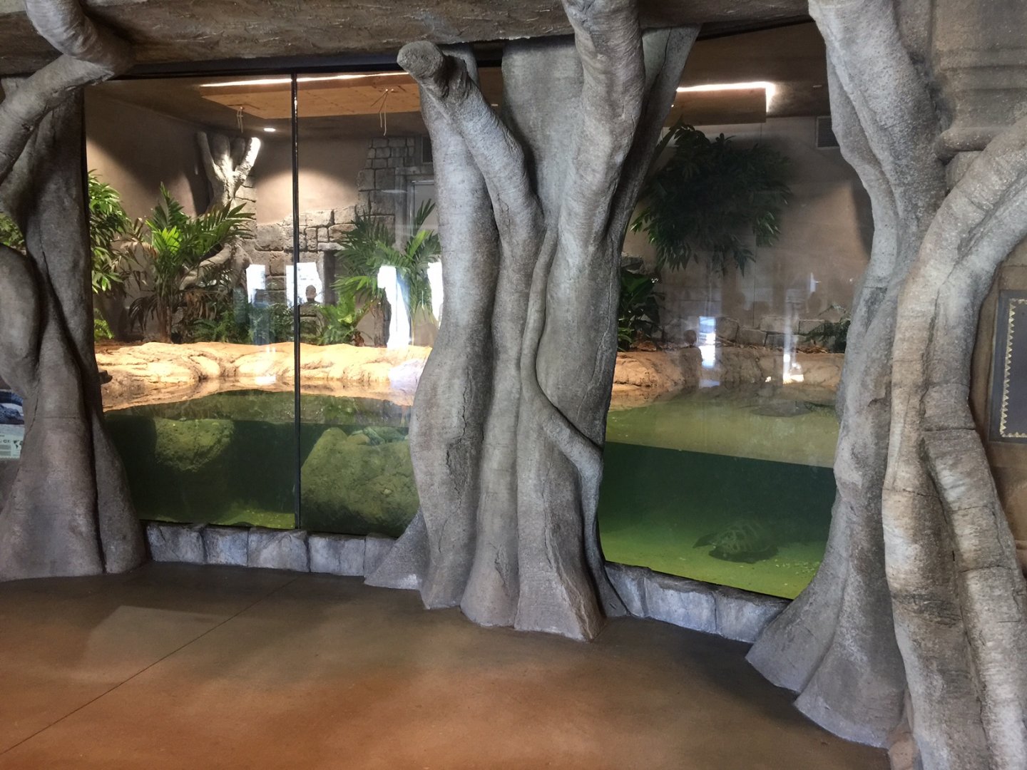 Lost Kingdom -Chinese Alligator, Malaysian giant turtle and Southern river turtle exhibit