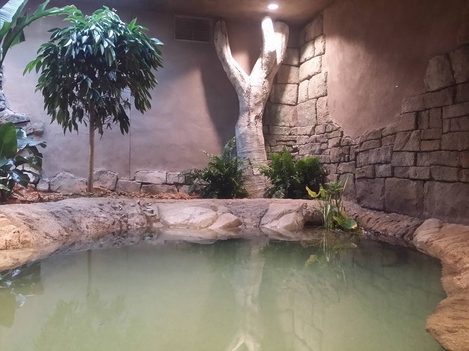 Lost Kingdom - Chinese alligator/turtle exhibit