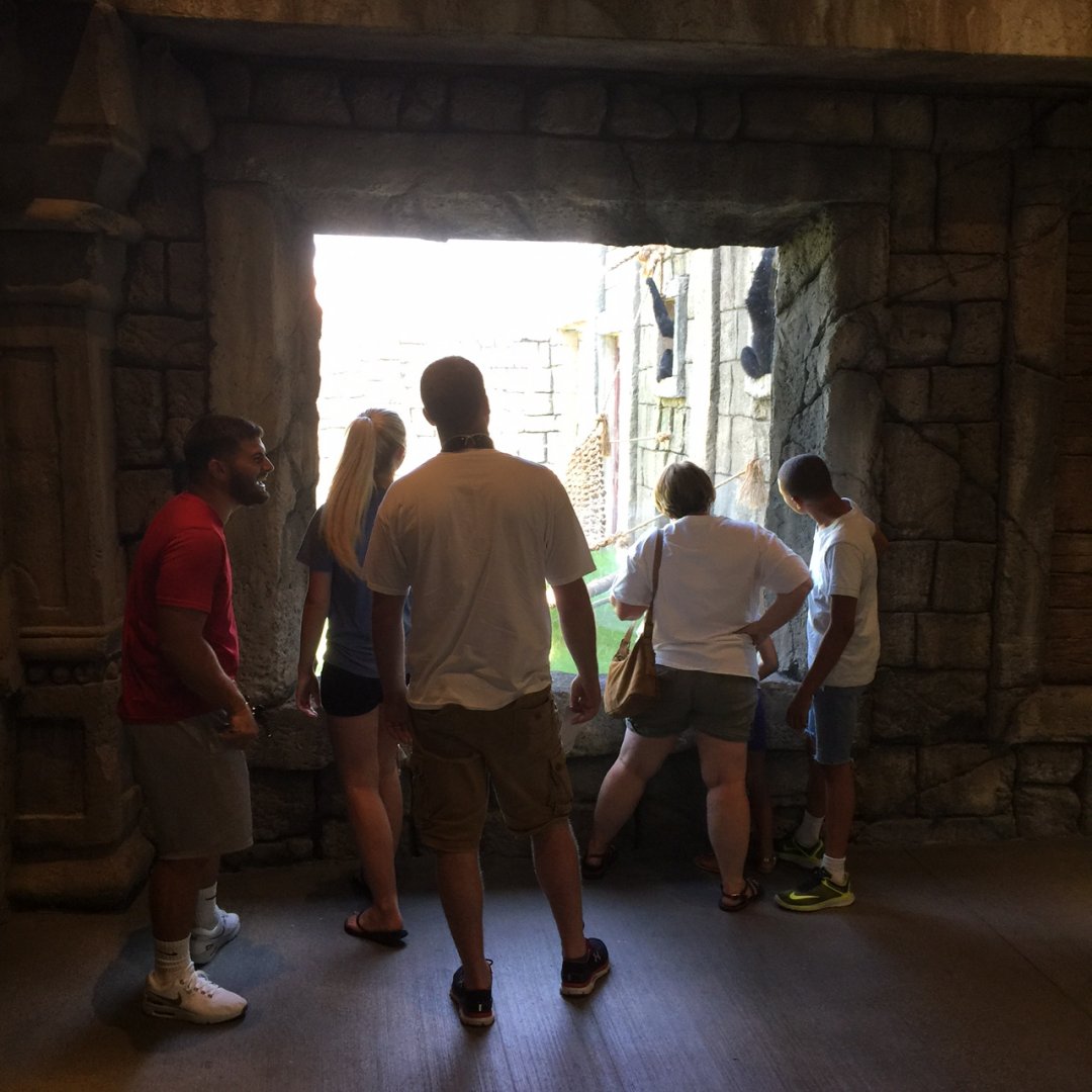 Lost Kingdom - indoor viewing to outdoor siamang exhibit