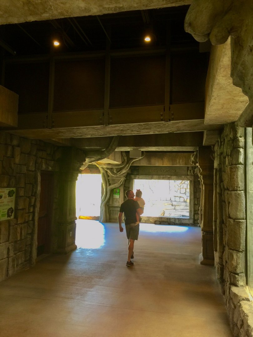 Lost Kingdom - interior heading toward tiger exhibit.  Transfer bridge to siamang dayroom is overhead.