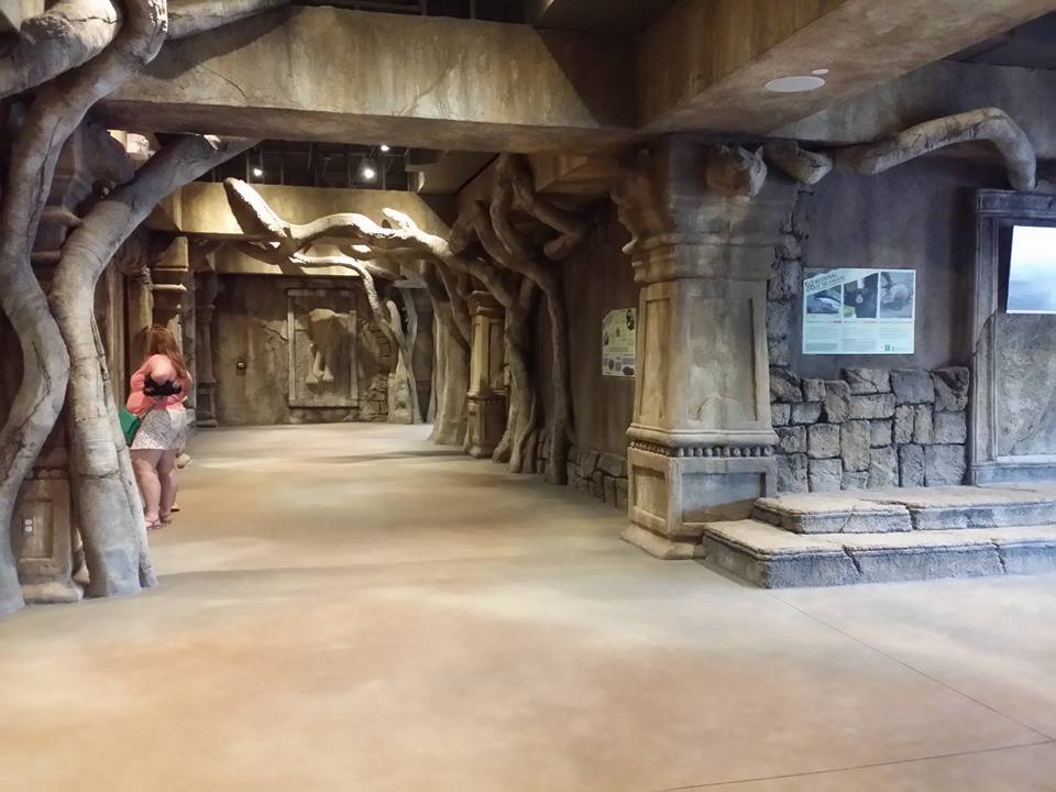 Lost Kingdom - interior of indoor viewing building