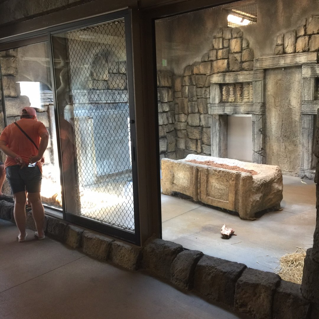 Lost Kingdom - interior tiger dayroom/presentation area