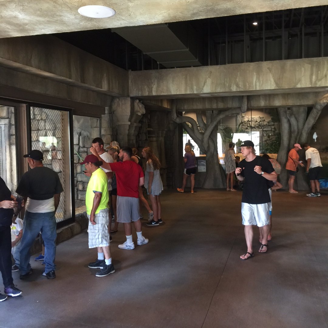 Lost Kingdom - interior tiger presentation area