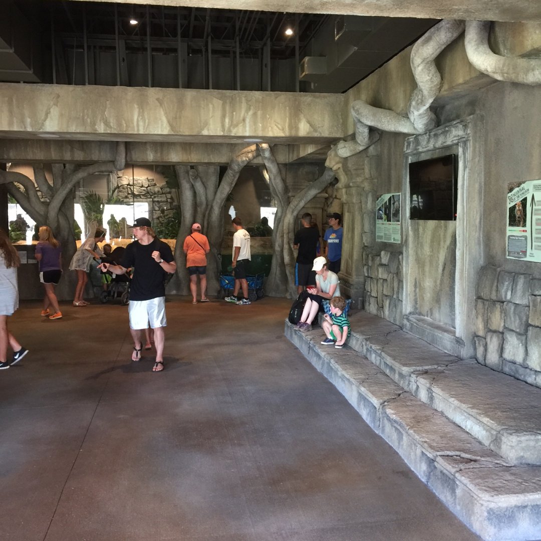 Lost Kingdom - interior tiger presentation area