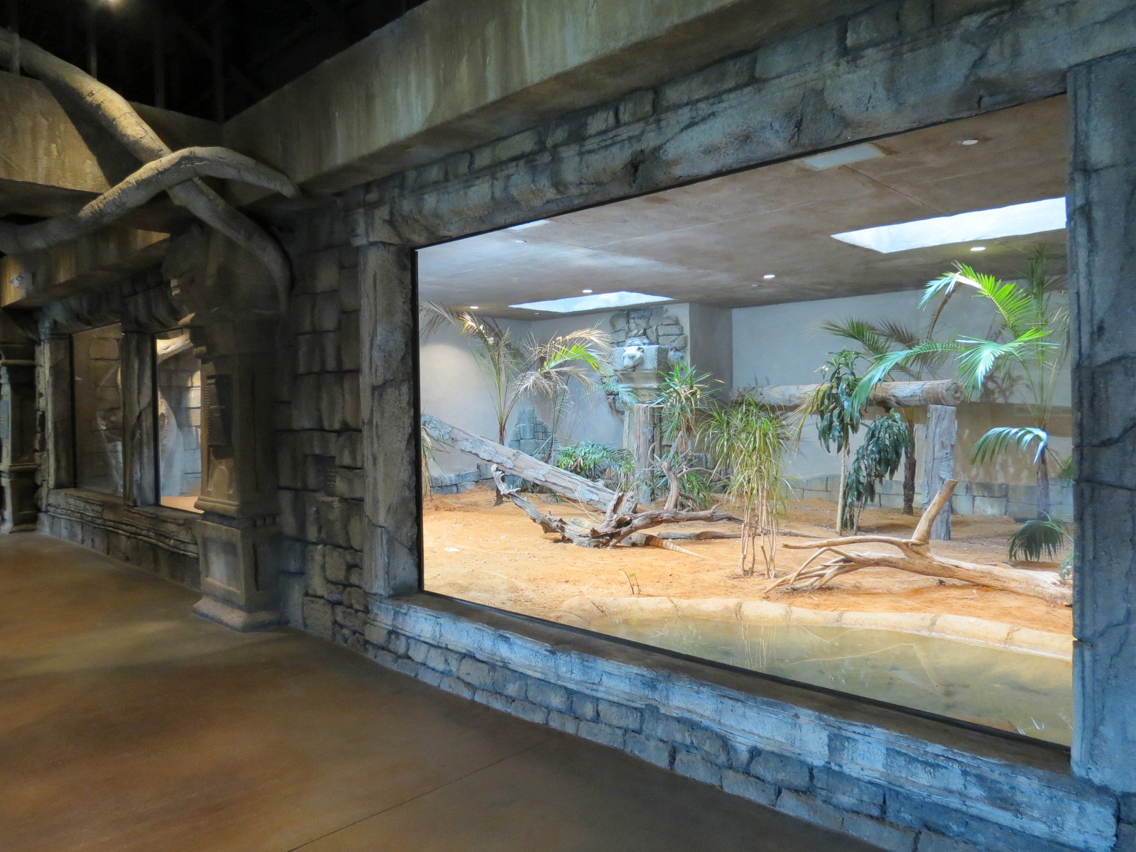 Lost Kingdom - Komodo Dragon Exhibit 1