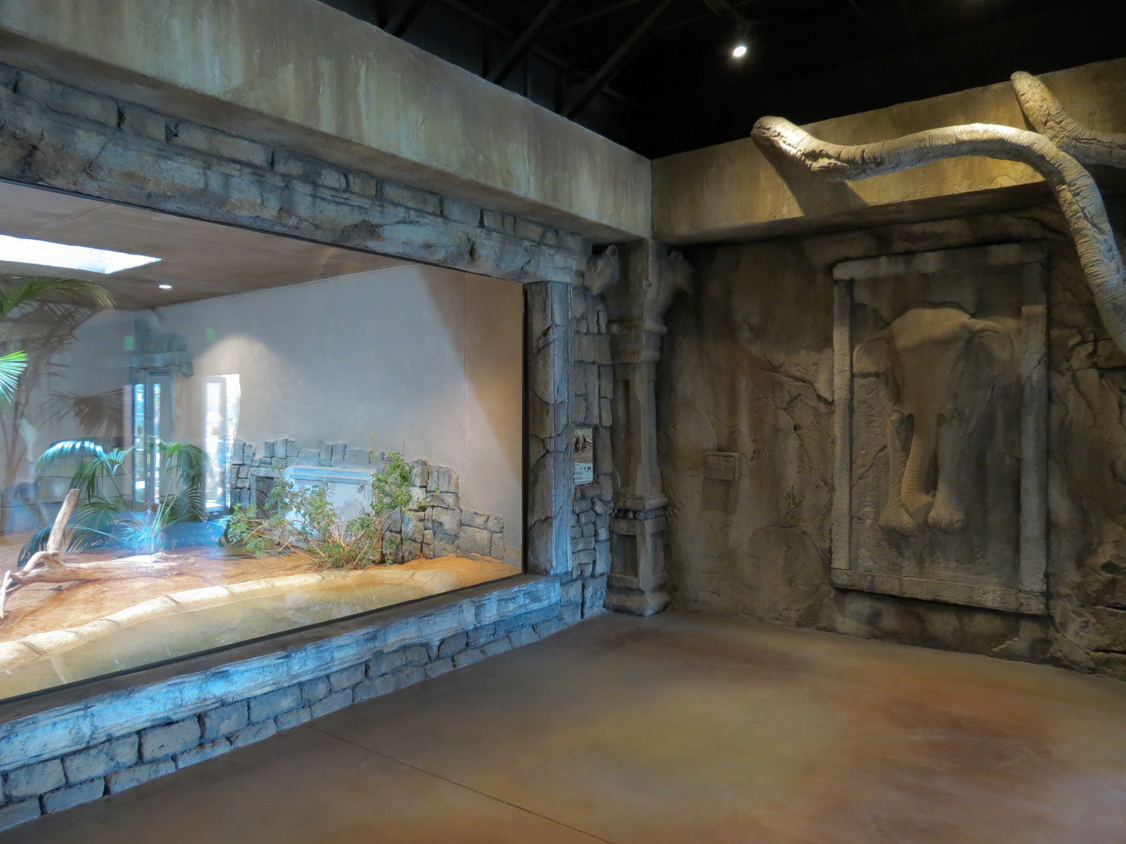 Lost Kingdom - Komodo Dragon Exhibit 1