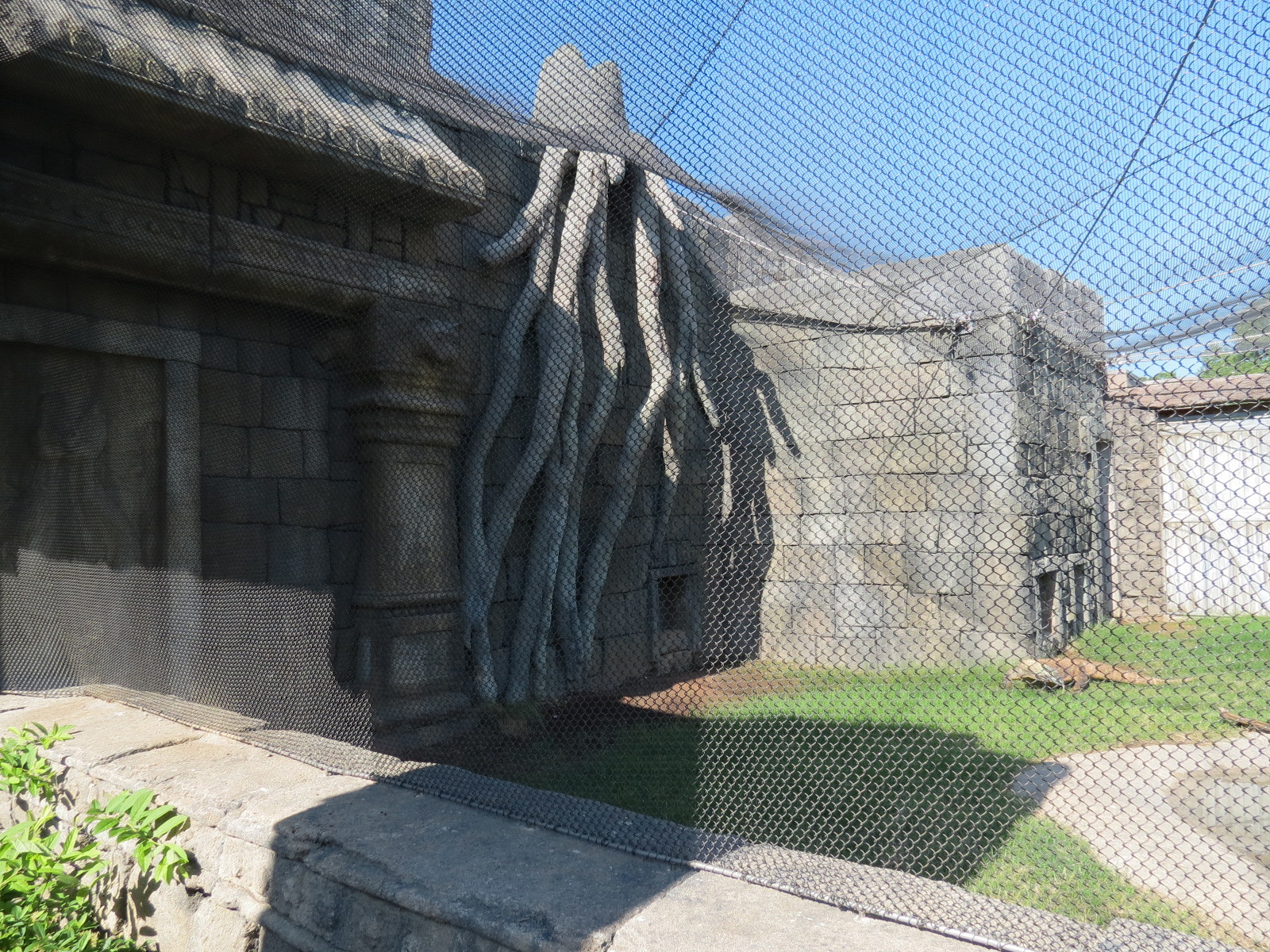 Lost Kingdom - Komodo Dragon Exhibit 2