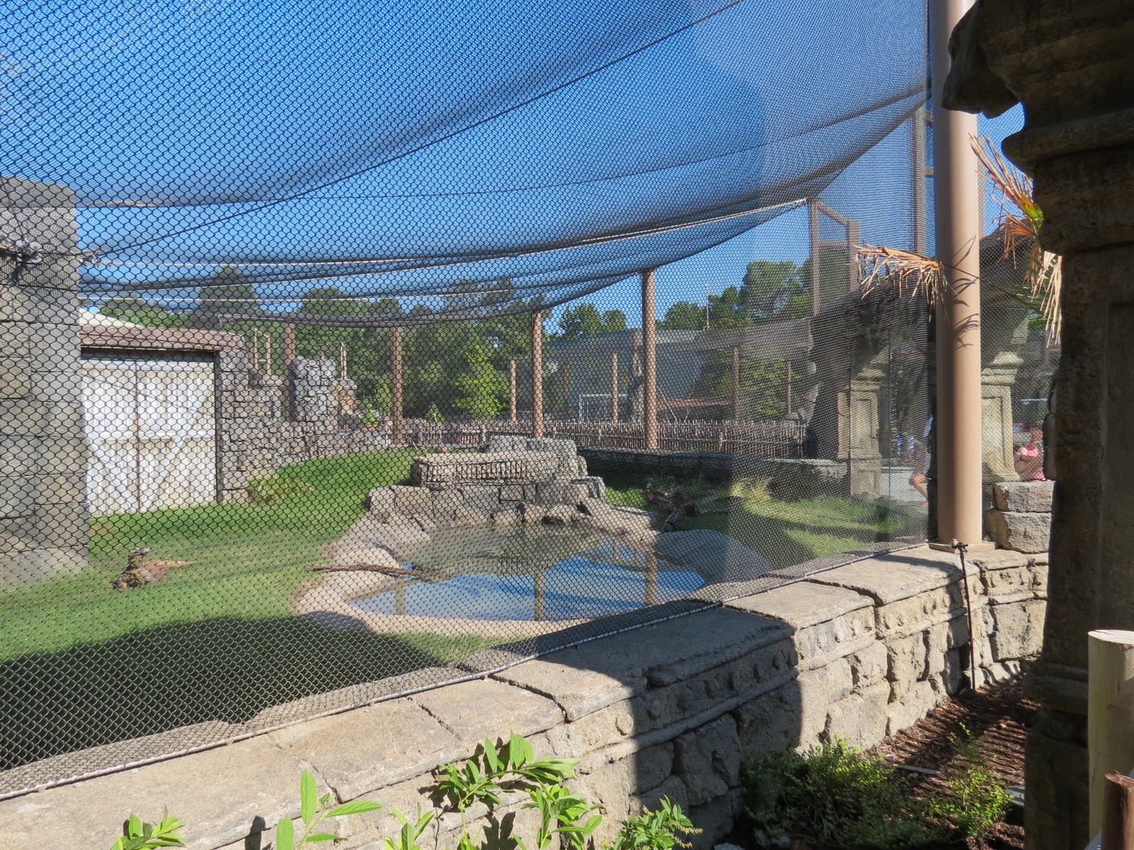 Lost Kingdom - Komodo Dragon Exhibit 2