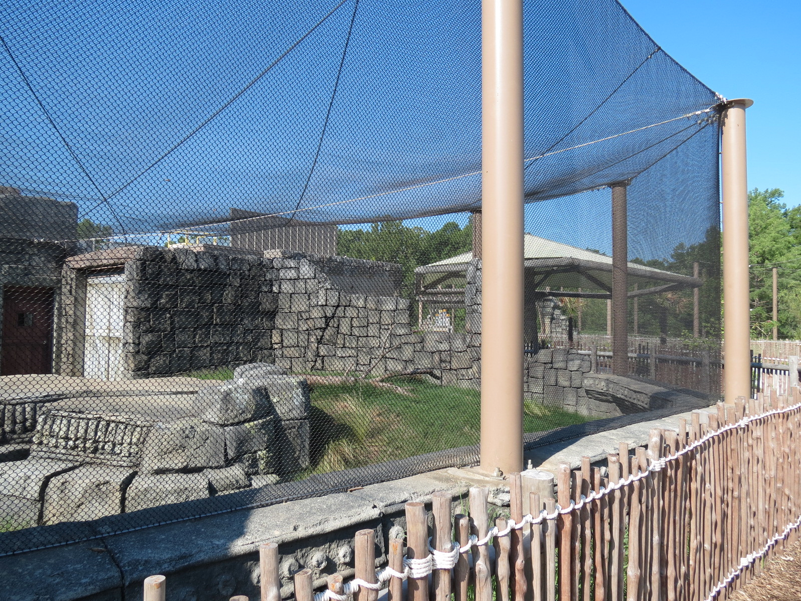 Lost Kingdom - Komodo Dragon Exhibit 2