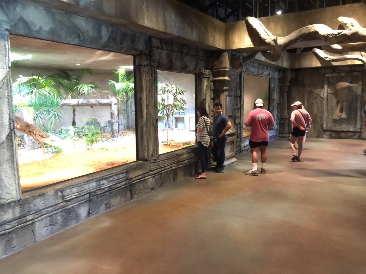 Lost Kingdom -Komodo dragon indoor exhibit