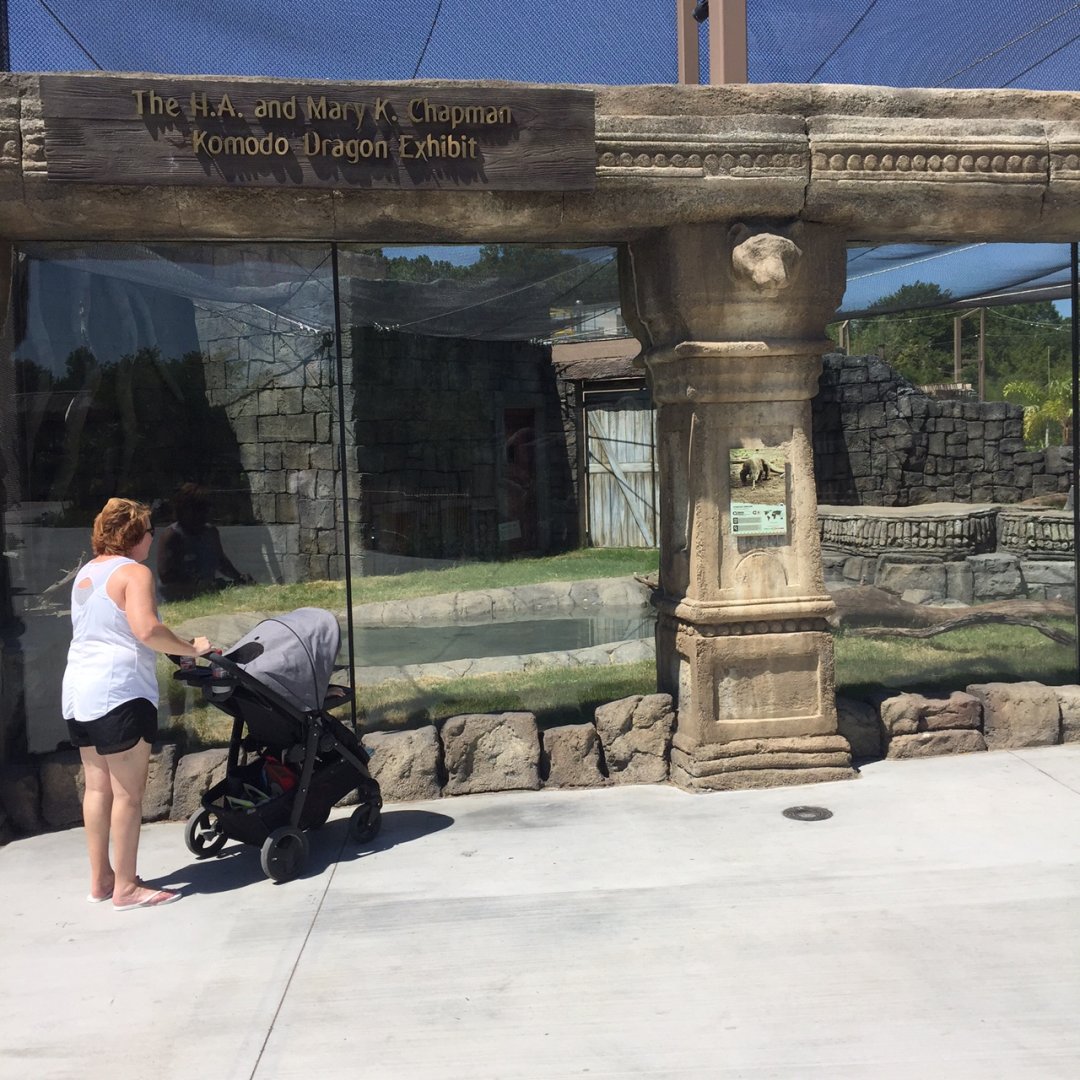 Lost Kingdom - Komodo dragon outdoor exhibit