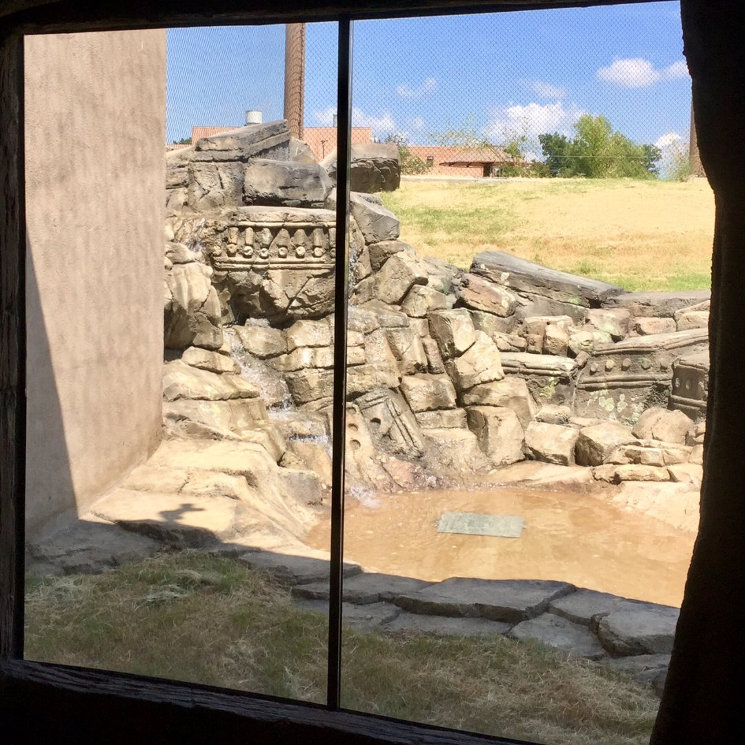 Lost Kingdom - Malayan tiger east yard