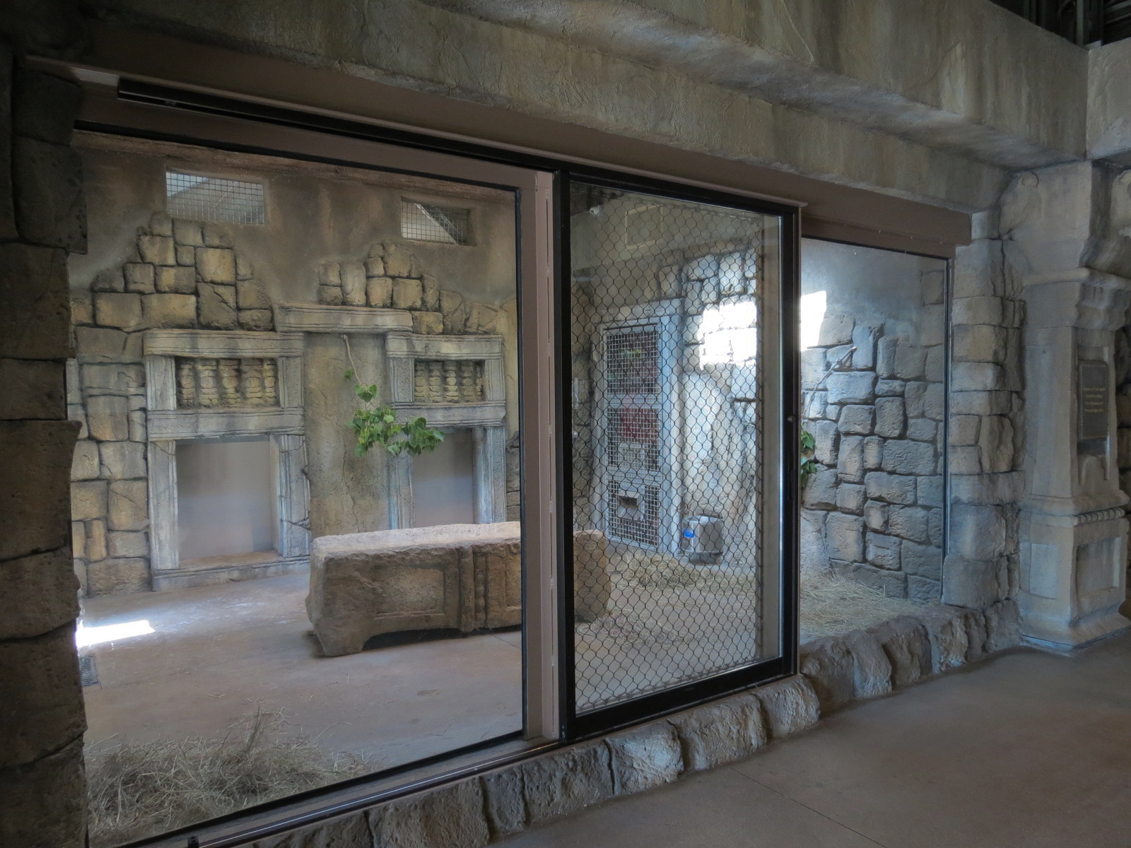 Lost Kingdom - Malayan Tiger Exhibit 1