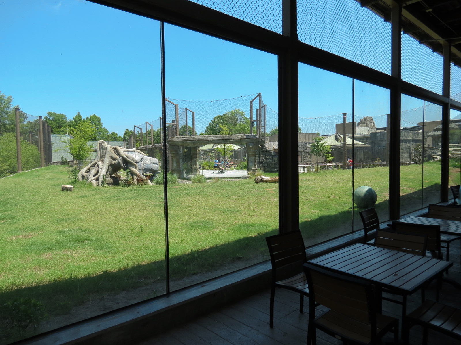 Lost Kingdom - Malayan Tiger Exhibit 2 - View from Rajan's