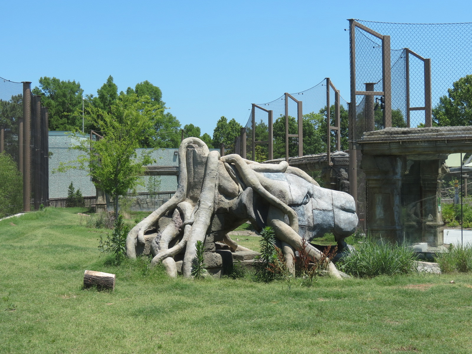 Lost Kingdom - Malayan Tiger Exhibit 2 - View from Rajan's