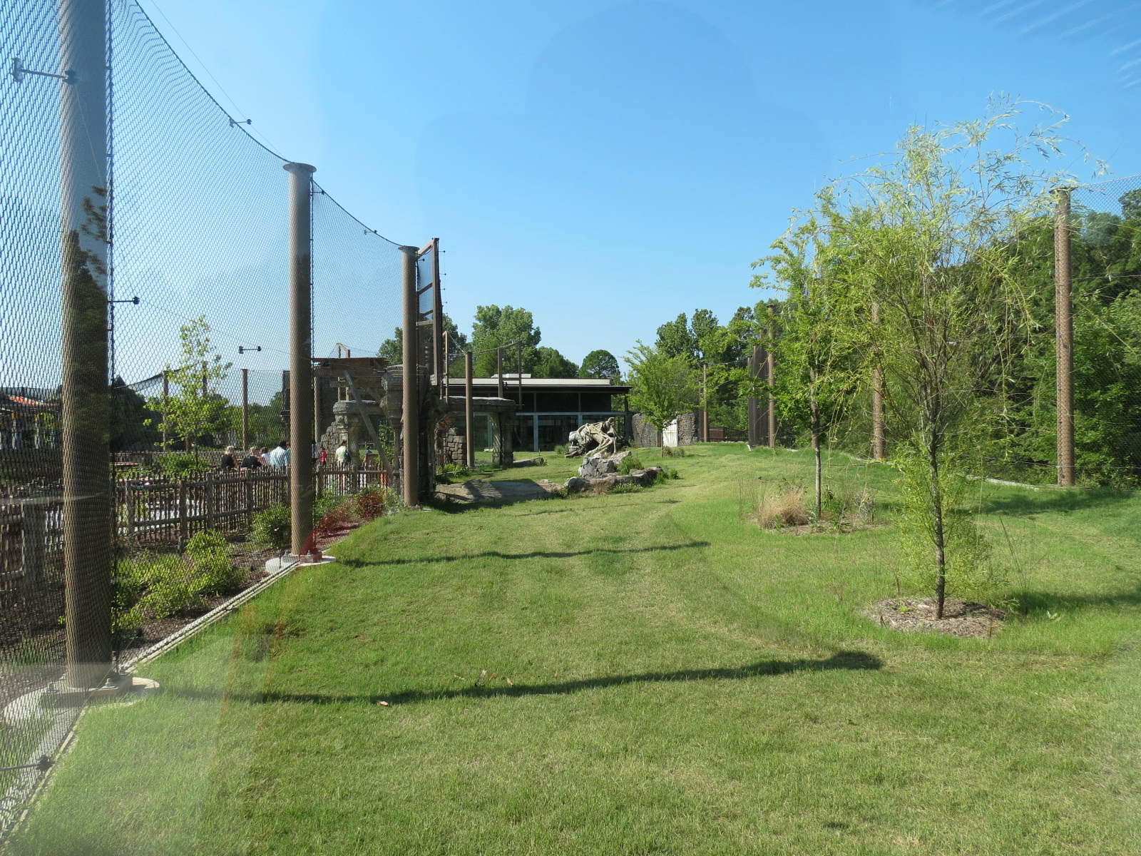 Lost Kingdom - Malayan Tiger Exhibit 2