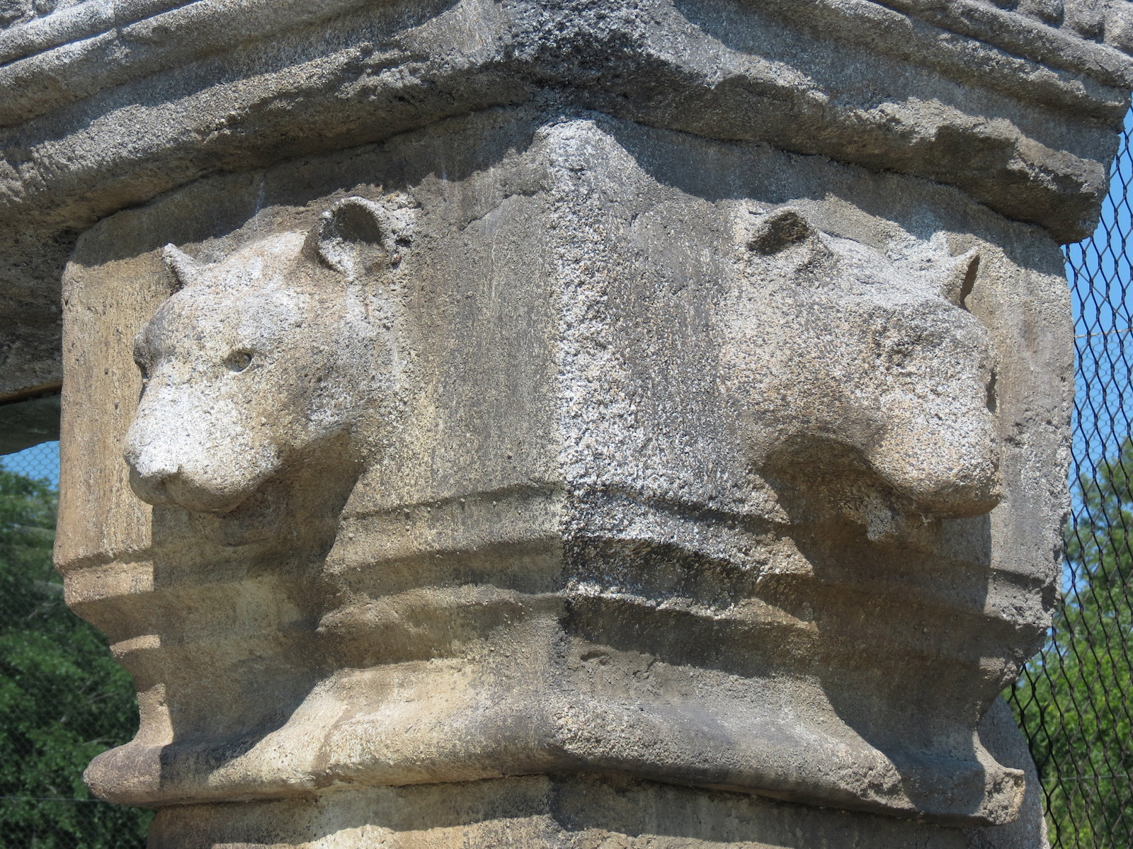 Lost Kingdom - Malayan Tiger Exhibit 2