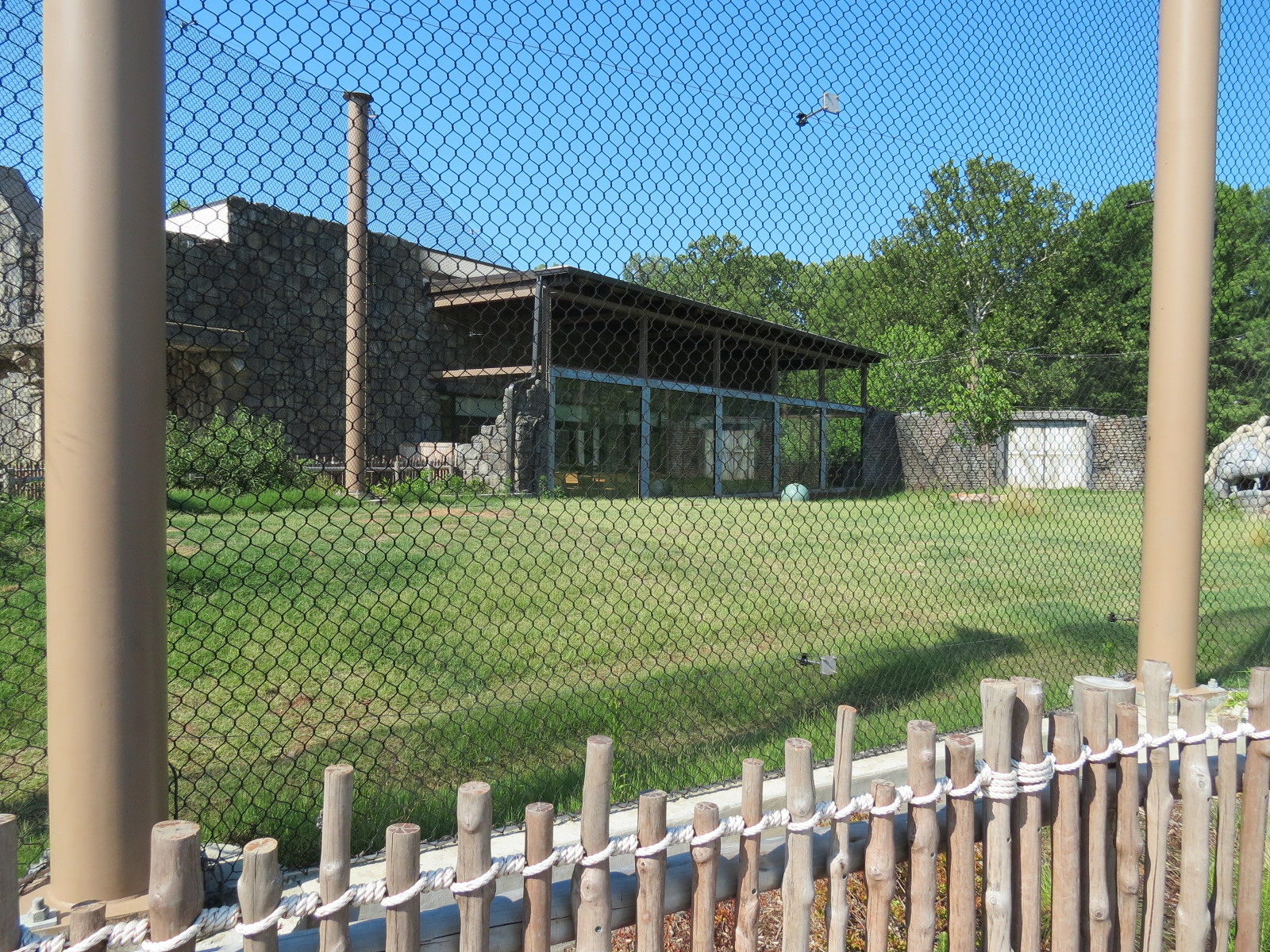 Lost Kingdom - Malayan Tiger Exhibit 2