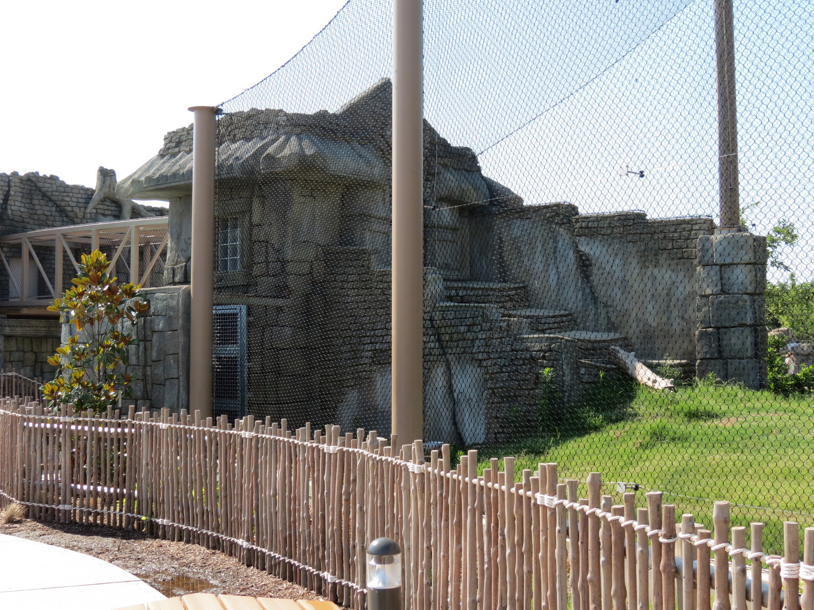 Lost Kingdom - Malayan Tiger Exhibit 2