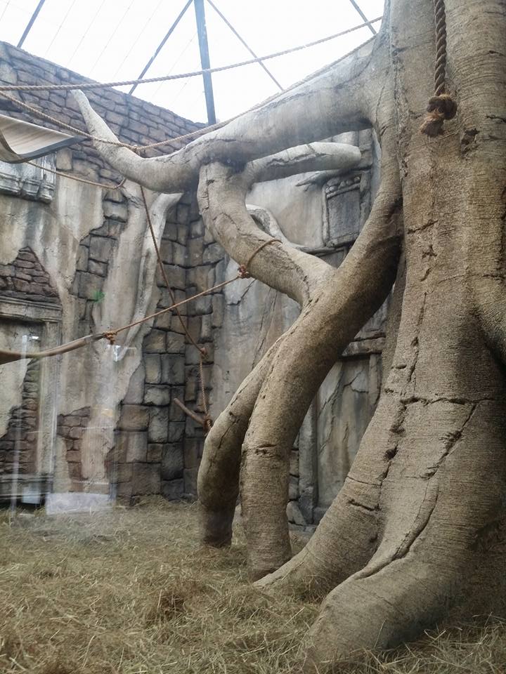 Lost Kingdom - Siamang area