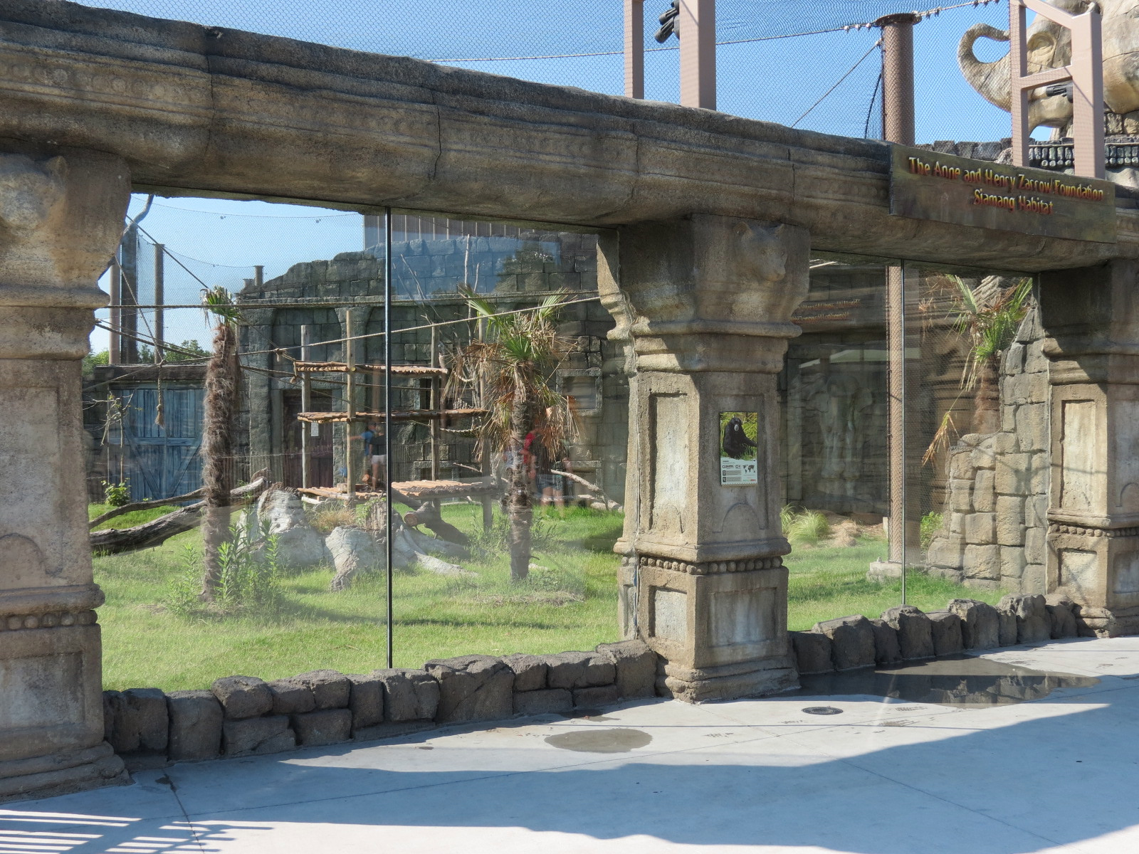 Lost Kingdom - Siamang Exhibit