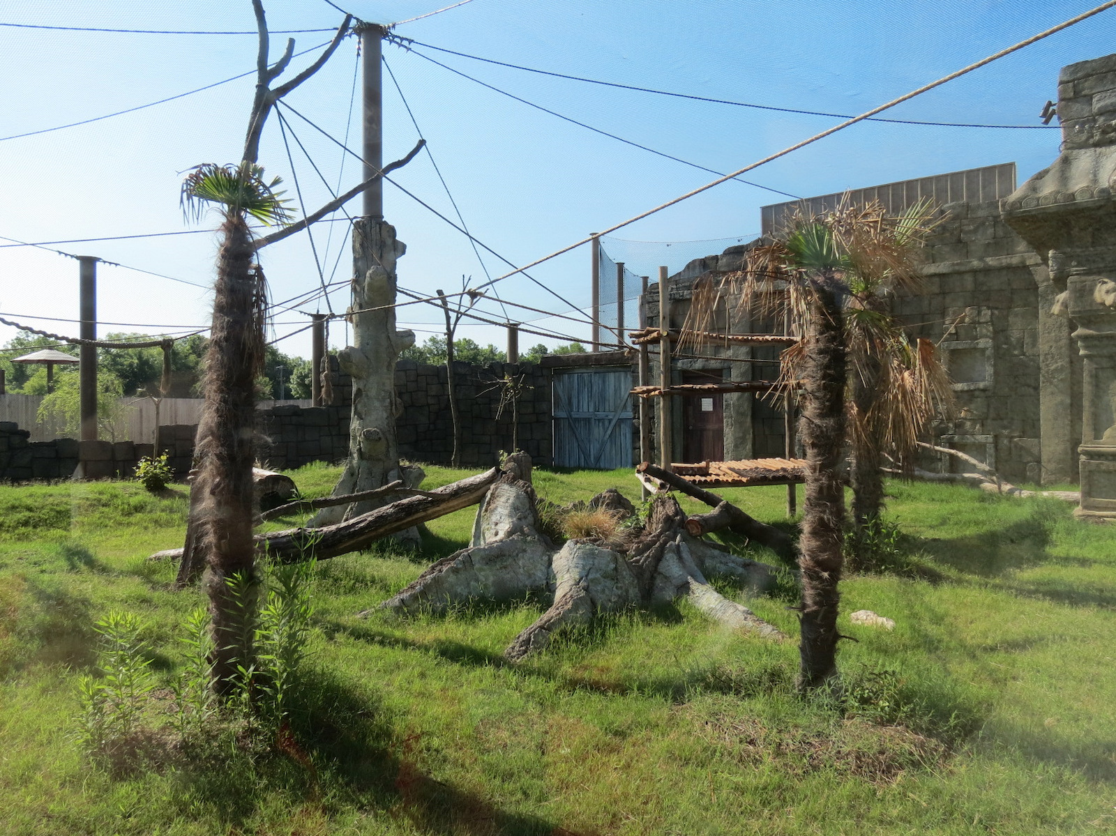 Lost Kingdom - Siamang Exhibit