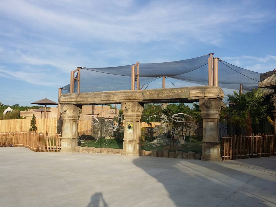 Lost Kingdom - Siamang habitat