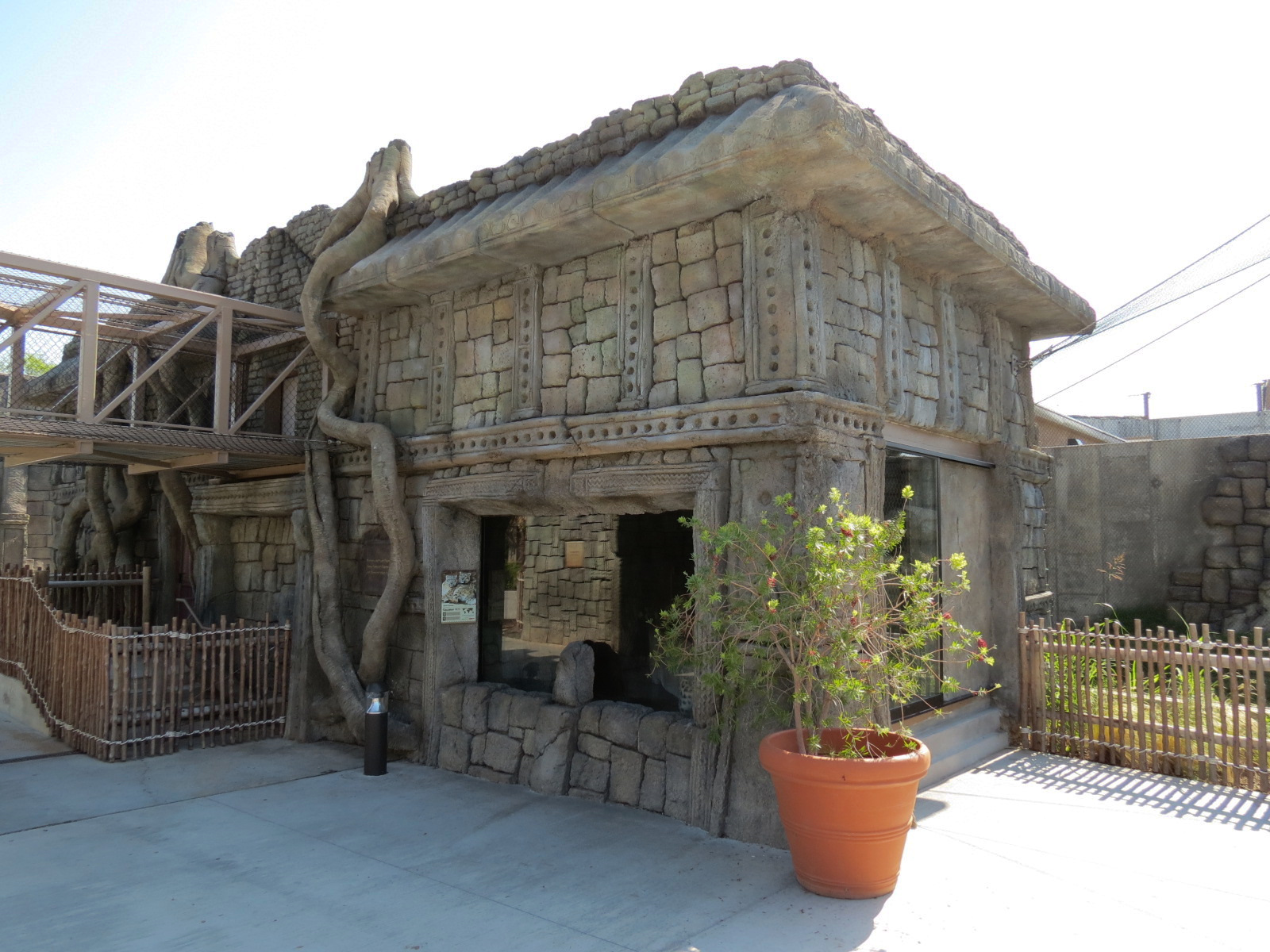 Lost Kingdom - Snow Leopard Exhibit - Dayroom