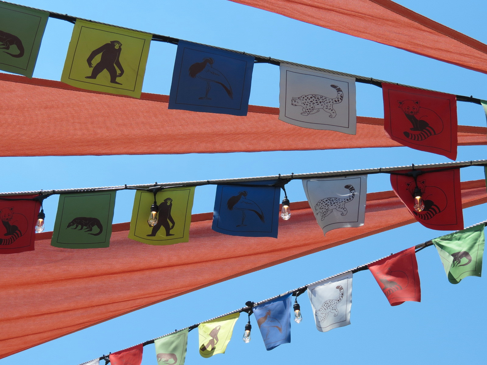 Lost Kingdom - Snow Leopard Exhibit - Prayer Flags