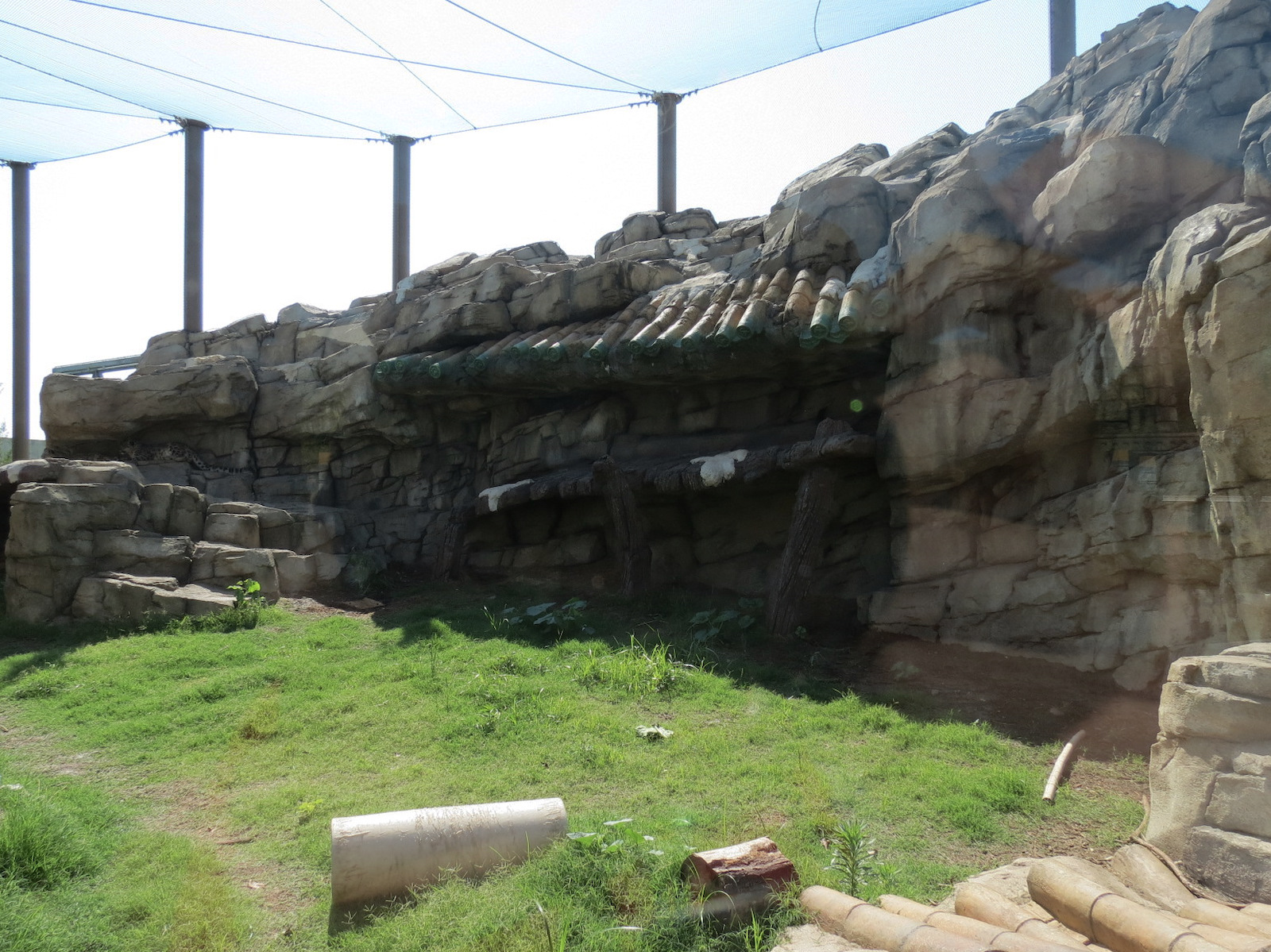 Lost Kingdom - Snow Leopard Exhibit