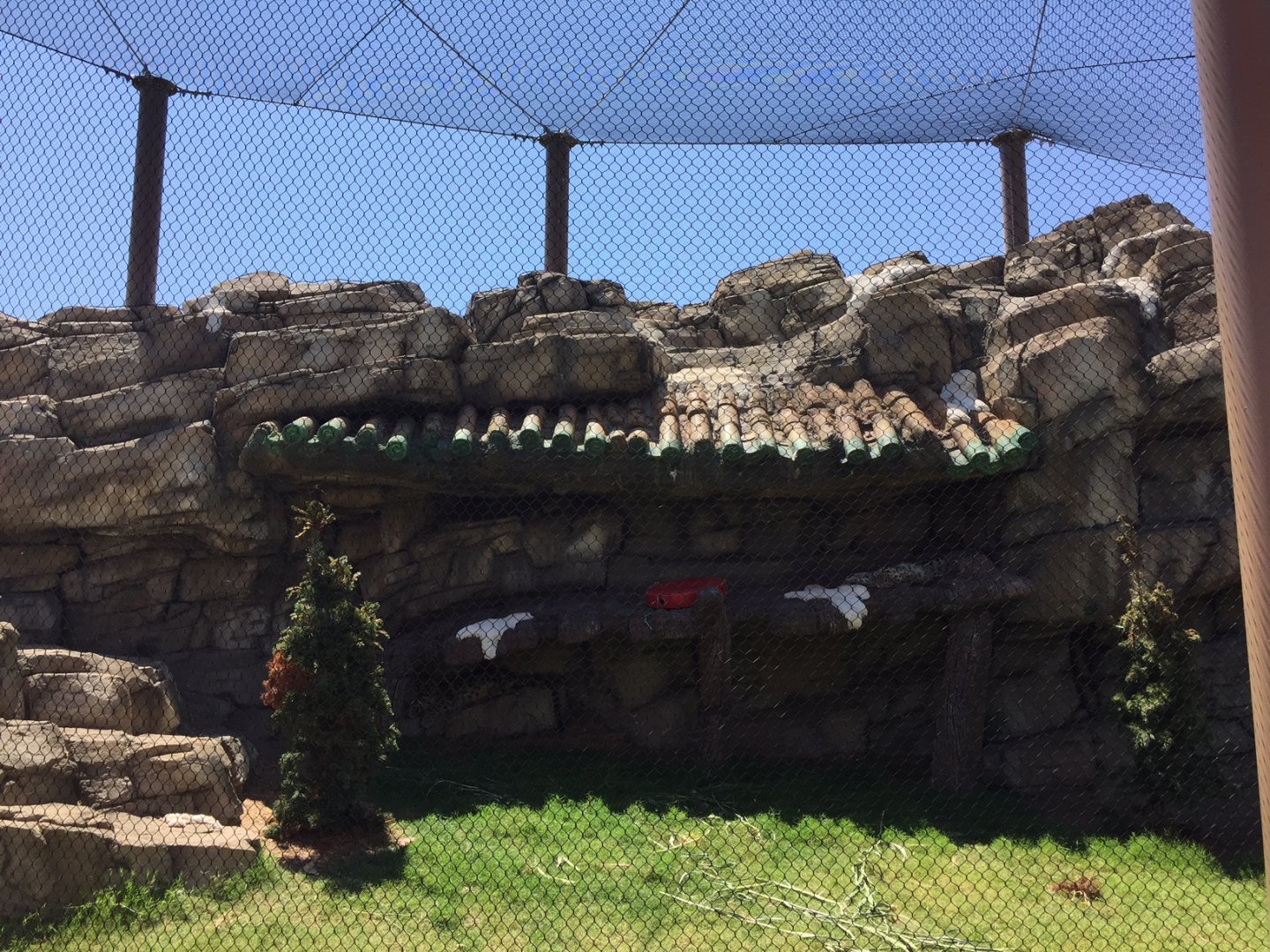 Lost Kingdom - Snow leopard habitat