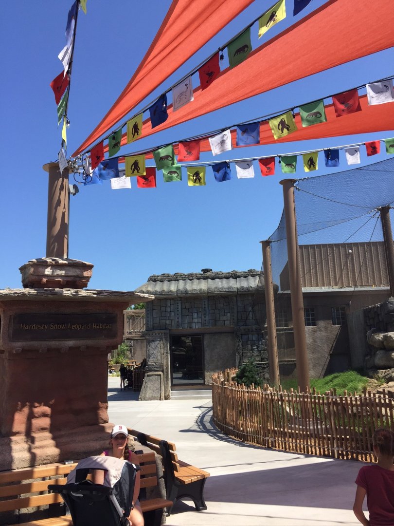 Lost Kingdom - Snow leopard habitat