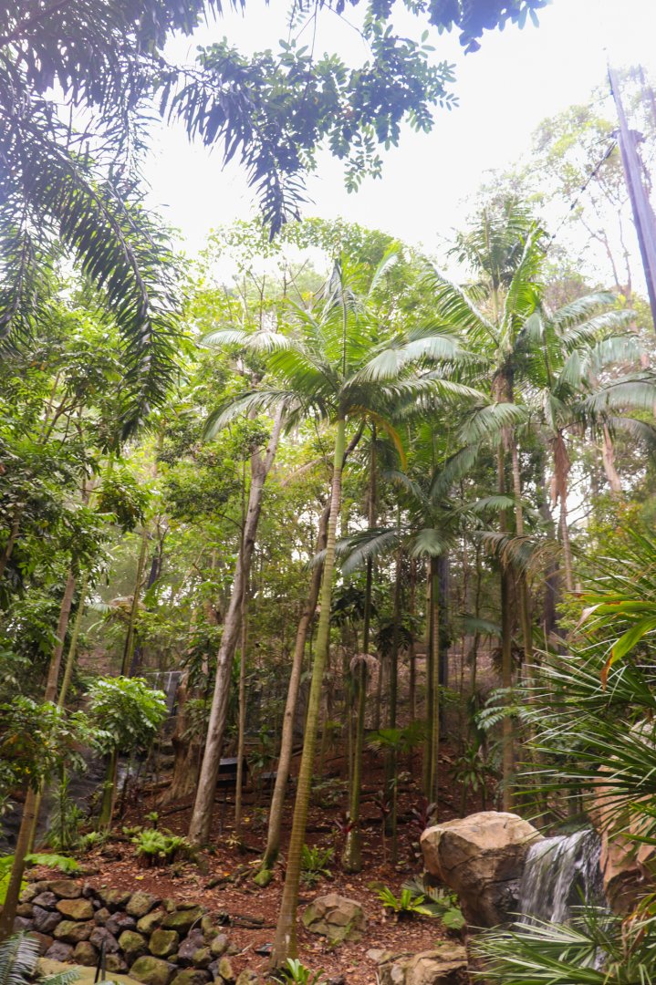 Lost Valley Aviary - Canopy