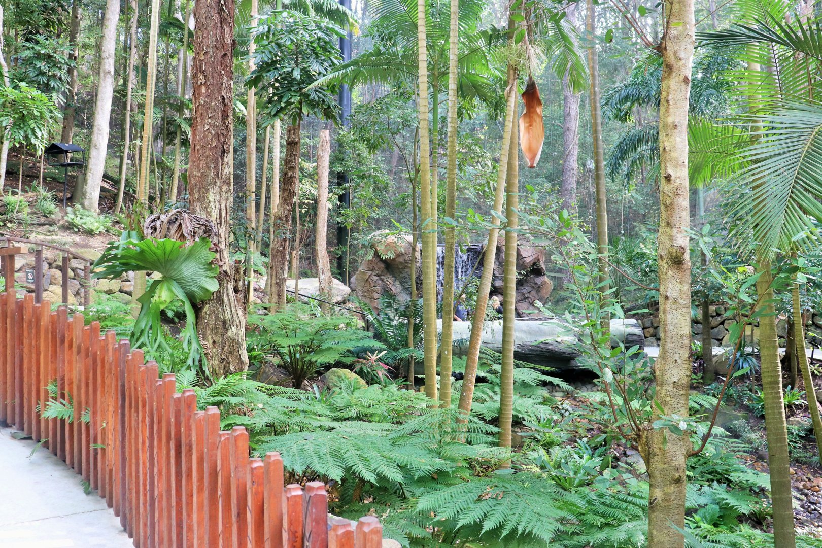 Lost Valley- Aviary Interior