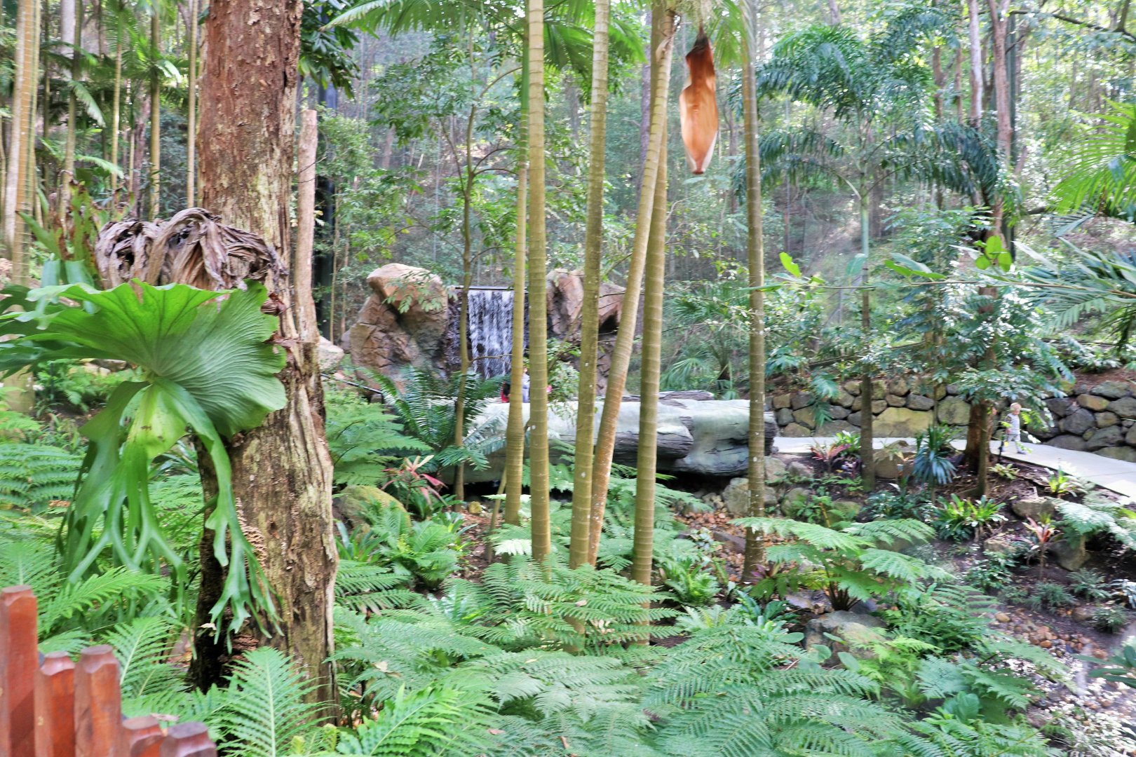 Lost Valley- Aviary Interior