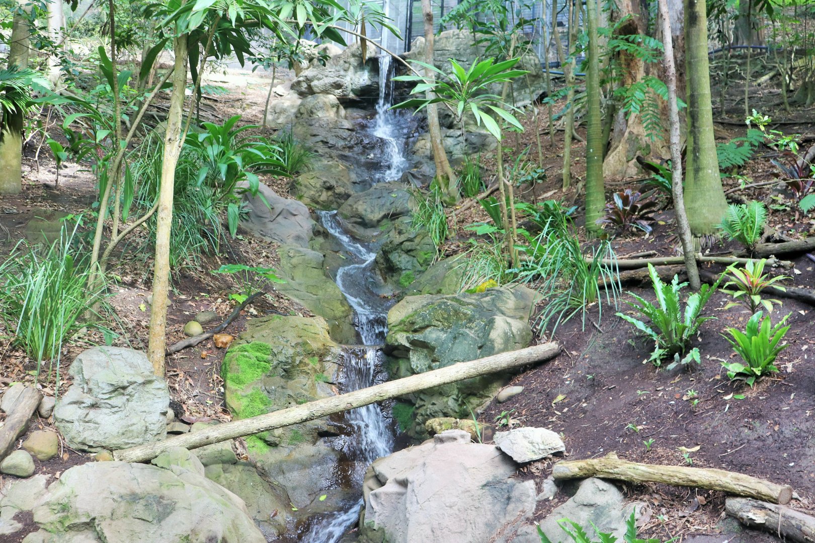 Lost Valley- Aviary Interior