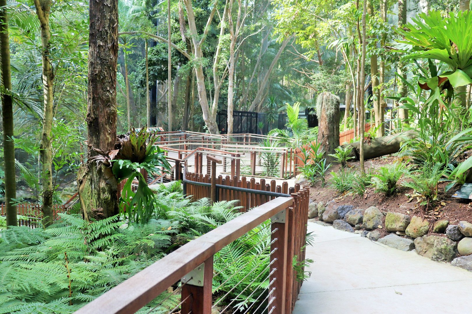Lost Valley- Aviary Interior