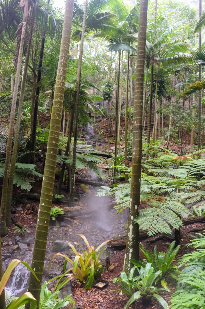 Lost Valley Aviary - One of Two Waterfalls