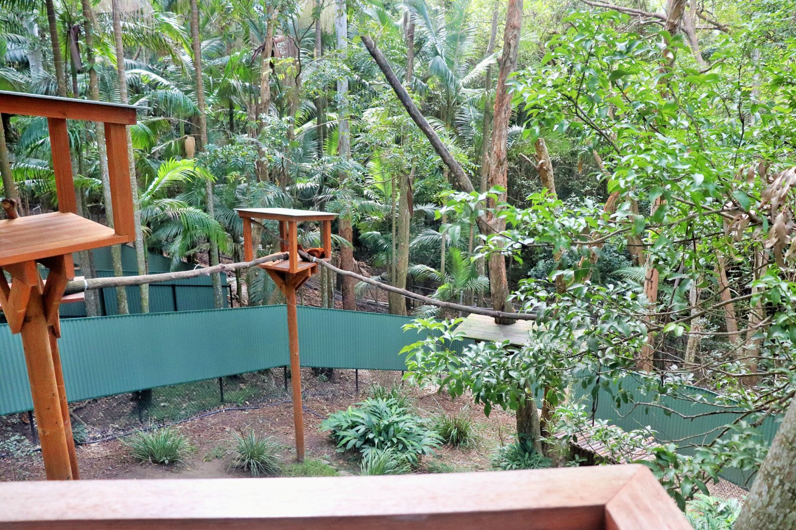 Lost Valley- Red Panda Enclosure