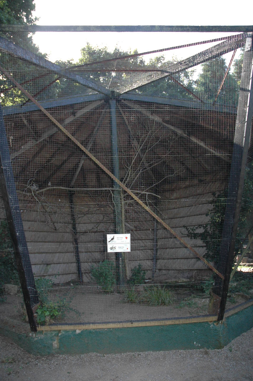 Lotherton Aviary