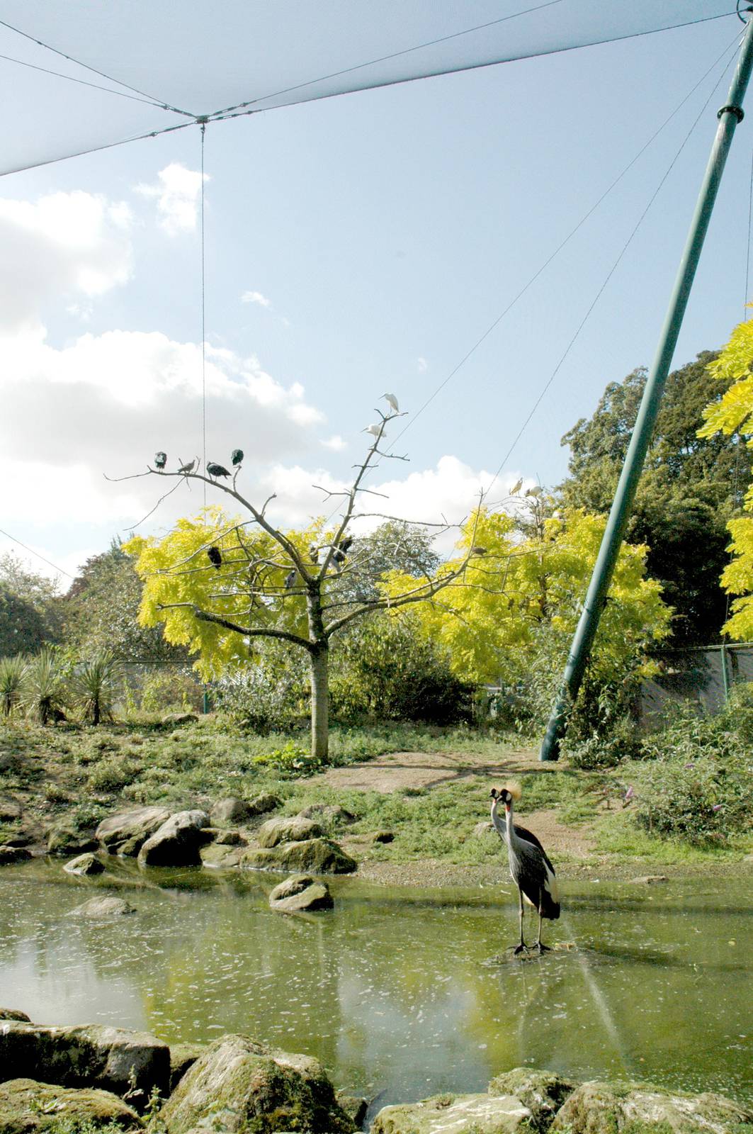 Lothertons African Aviary