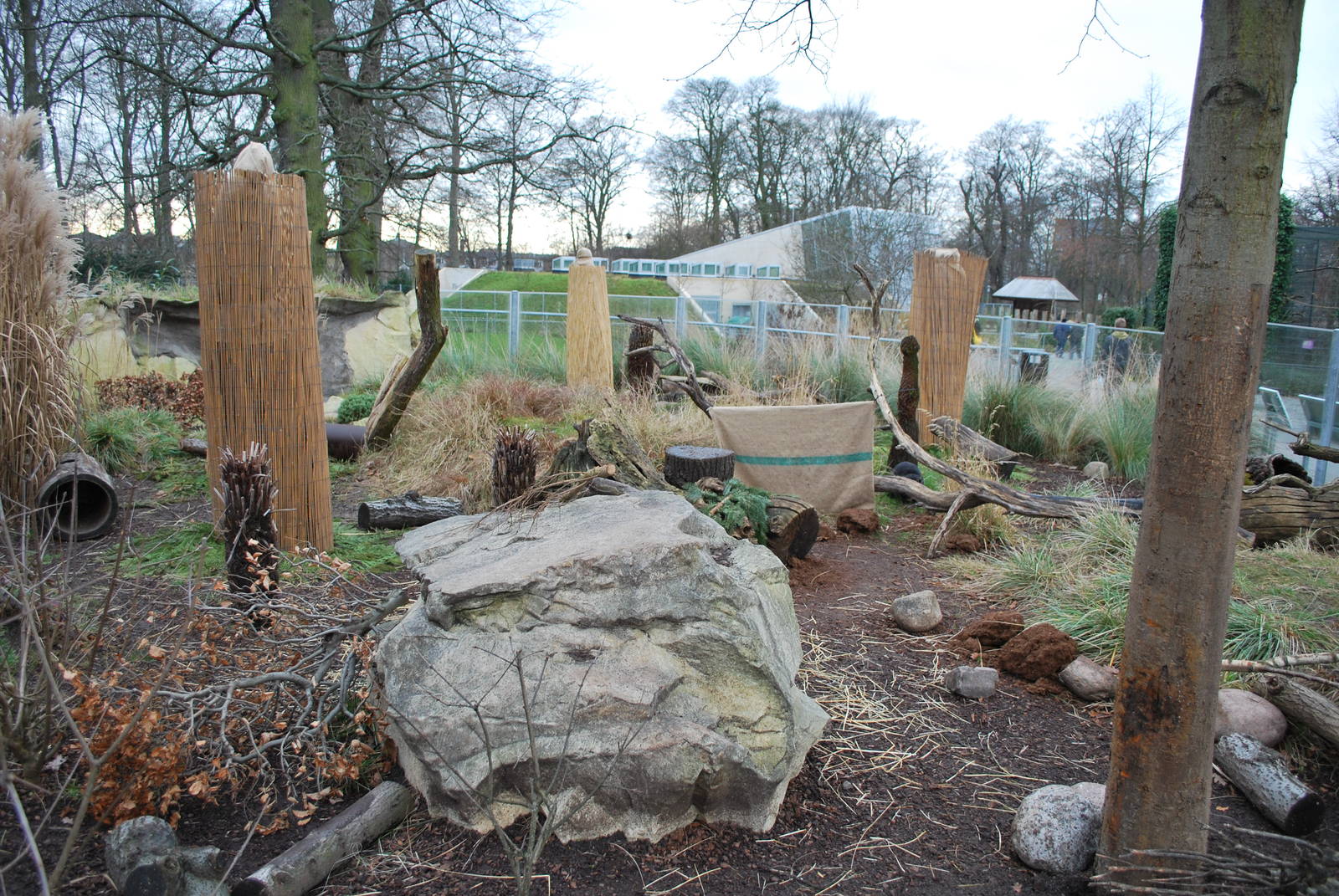 Lots of action in the Tasmanian devil exhibit...