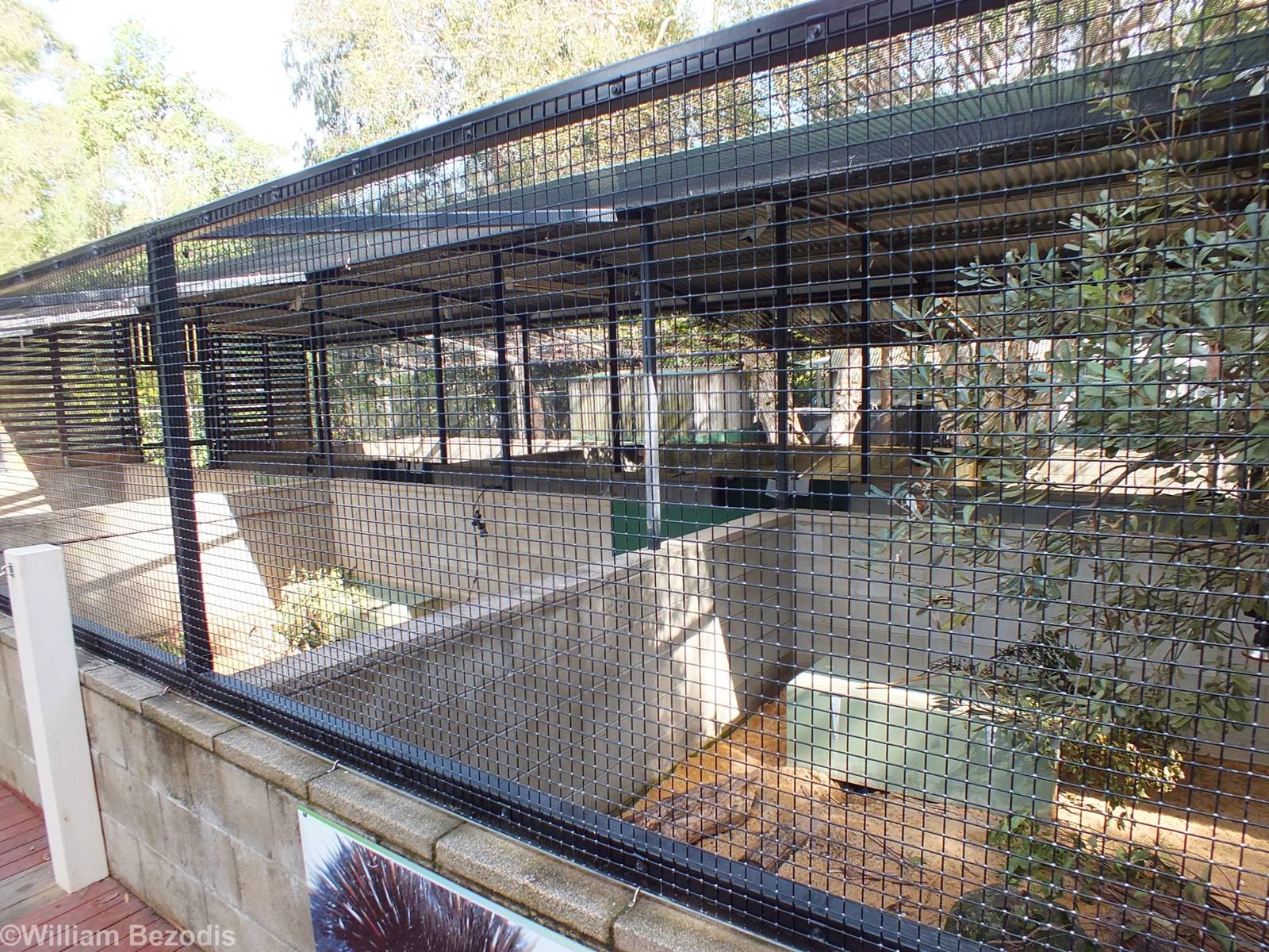 Lots of Echidna Enclosures