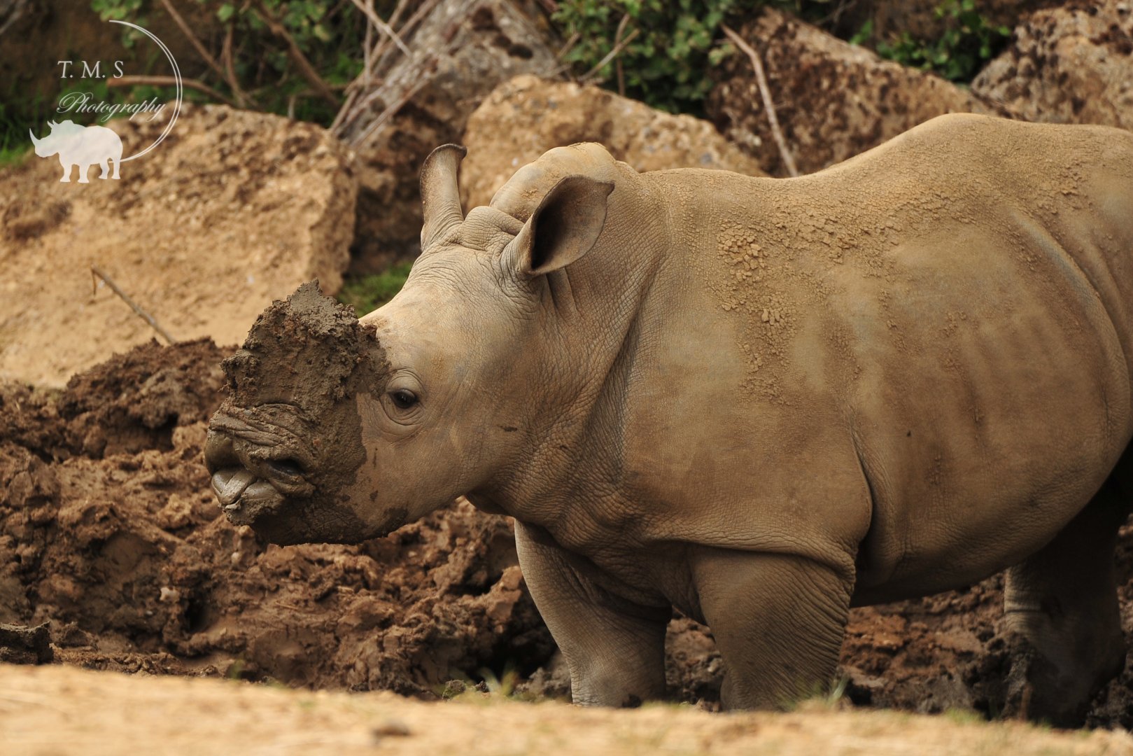 Lottie sticking Tongue out
