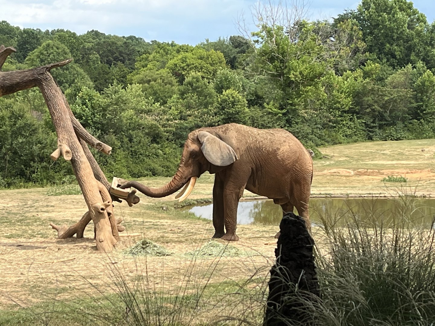Louie opening a goodie box