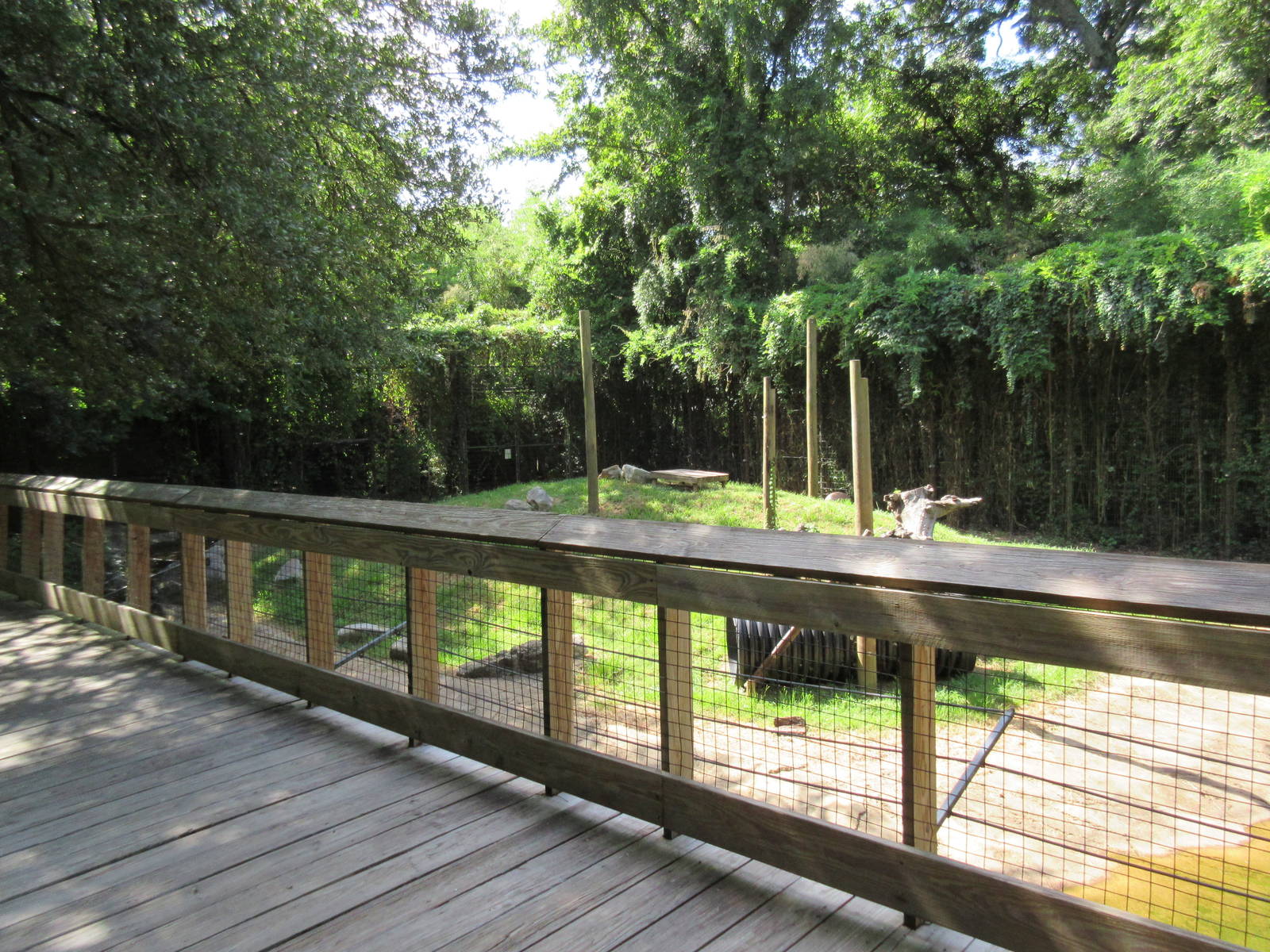 Louisiana Black Bear Exhibit