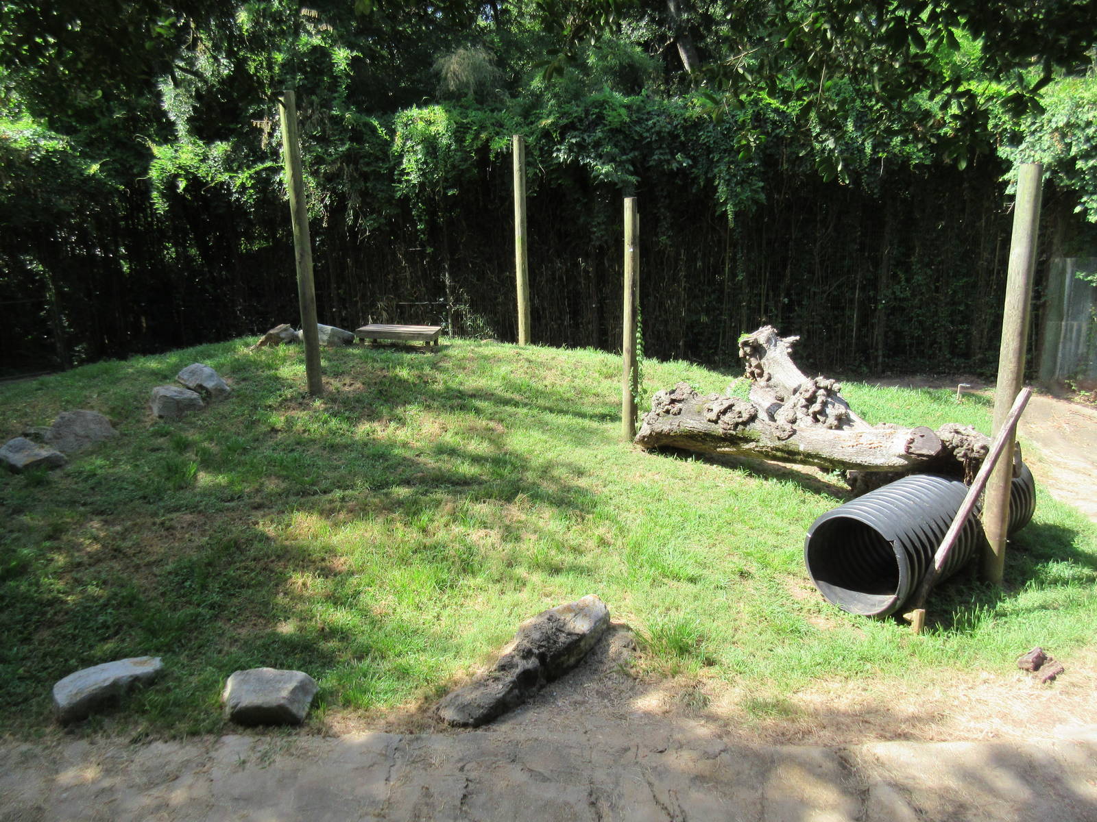 Louisiana Black Bear Exhibit